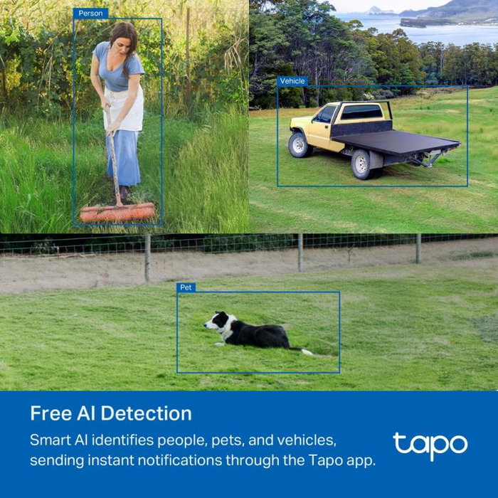 TP-Link Tapo C501GW Blanco