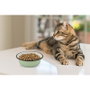 Nayeco Comedero Inox Cat Shadow 290ml