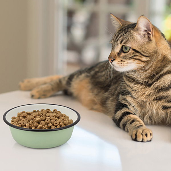 Nayeco Comedero Inox Cat Shadow 290ml
