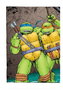 Teenage Mutant Ninja Turtles : La Pelicula Original. Especial 35 Aniversario