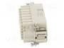 HARTING Han® DDD Conector HDC Hembra 107+PE