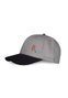 Difuzed Gorra Béisbol Logo Grey PlayStation