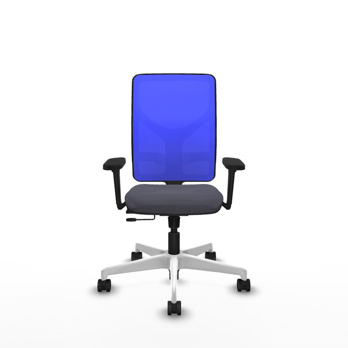 PIQUERAS Y CRESPO Silla de oficina Motilla con mecanismo Sincro/Traslack, Gris oscuro y Azul