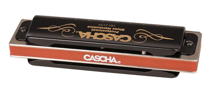 Professional Blues Harmonica In D, Incl. Case And Professional Blues Harmonica In D, Incl. Case And