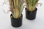DKD Home Decor Planta Espadaña PE/PVC 40x40x120 cm Surtido de 2 unidades