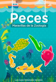 PECES, LUIS HUGO FERNANDEZ RICARDO - CITMATEL (IBD)