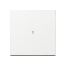 GIRA 329003 Wippe Kontrollf. System 55 Reinwei Placa Frontal Blanco
