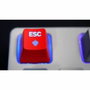 Cherry XTRFY K4V2 RGB TKL RETRO Teclado Mecánico para Juegos RGB Negro MX2A Rojo