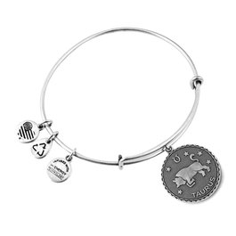 Alex And Ani Pulsera Tauro Gris