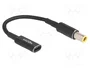 DeLOCK 60041 Cable adaptador de carga USB Type-C™ hembra a IBM 7,9 x 5,5 mm macho