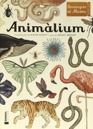 Animàlium, Katie Scot - SIMBOL EDITORS