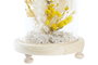 DKD Home Decor Decoración de Flor Seca en Cristal 12x12x21 Surtido de 2