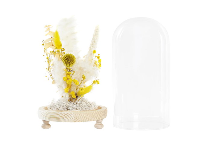 DKD Home Decor Decoración de Flor Seca en Cristal 12x12x21 Surtido de 2