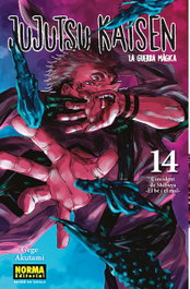 Jujutsu Kaisen 14, Gege Akutami - Norma Editorial