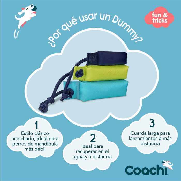 Juguete de adiestramiento Coachi Juguete de adiestramiento Coachi