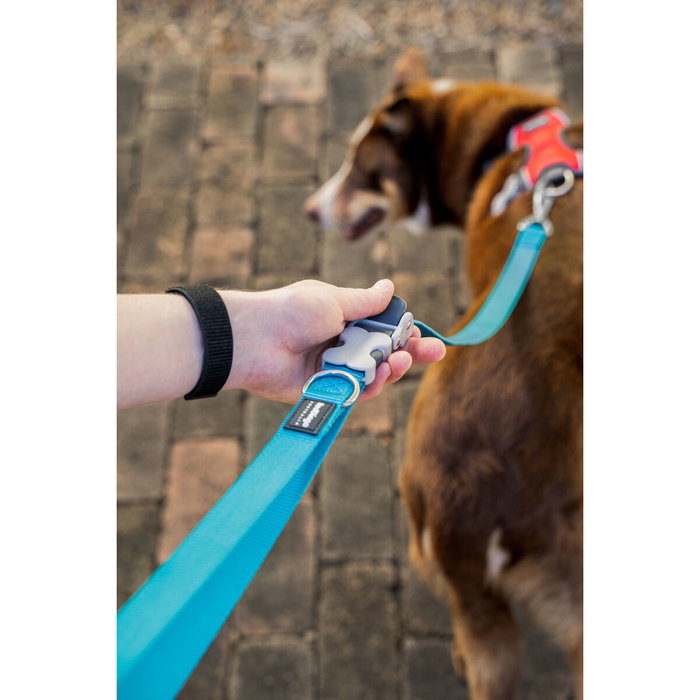 Red Dingo Correa SuperLead Negra 20 mm x 1,1-1,8 m (Set de 10)