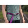 Red Dingo Correa SuperLead Negra 20 mm x 1,1-1,8 m (Set de 10)