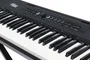 OFFSHORE PL400 Piano Digital Portátil de 88 Teclas