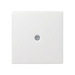 GIRA Cubierta para canalización de cables System 55 blanco mate