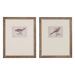 Cuadro Impresión Pájaros 2/M 43 X 2 X 53 cm (Set de 2)