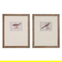 Cuadro Impresión Pájaros 2/M 43 X 2 X 53 cm (Set de 2)
