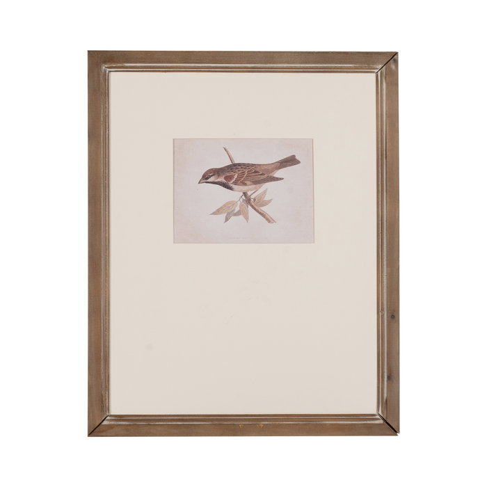 Cuadro Impresión Pájaros 2/M 43 X 2 X 53 cm (Set de 2)