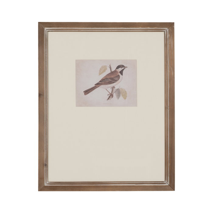Cuadro Impresión Pájaros 2/M 43 X 2 X 53 cm (Set de 2)