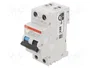 ABB DS201AC-B10/0.03 RCBO 10A 30mA 230VAC