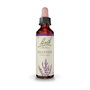Bach Original Elixir de flores de Bach 14 Heather (Brezo)