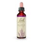Bach Original Elixir de flores de Bach 14 Heather (Brezo)