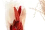 DKD Home Decor Ramo de Flores Secas Surtido Rojo y Naranja