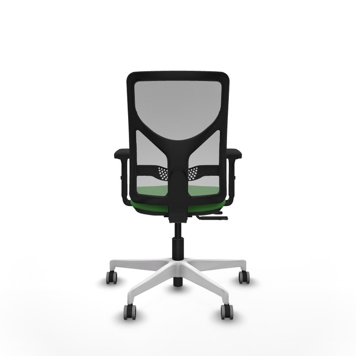 PIQUERAS Y CRESPO Silla de oficina Motilla con mecanismo Sincro/Traslack, Verde y Gris PIQUERAS Y CRESPO Silla de oficina Motilla con mecanismo Sincro/Traslack, Verde y Gris
