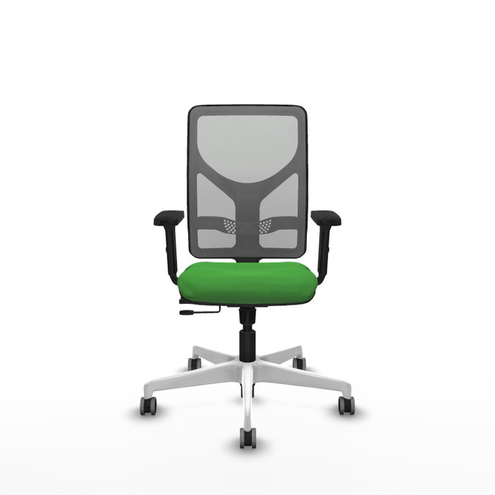 PIQUERAS Y CRESPO Silla de oficina Motilla con mecanismo Sincro/Traslack, Verde y Gris PIQUERAS Y CRESPO Silla de oficina Motilla con mecanismo Sincro/Traslack, Verde y Gris
