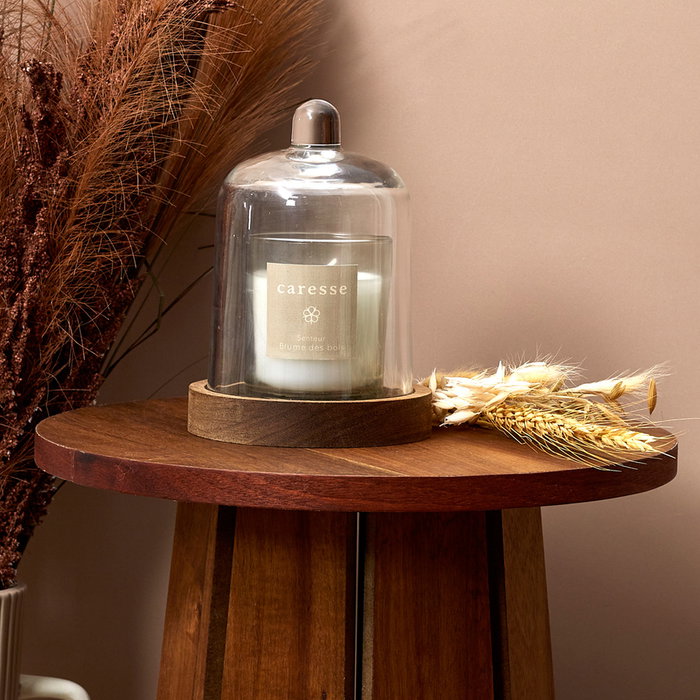 Home Deco Factory Vela Perfumada Colección Cocooning Aroma Bruma del Bosque con Campana Vidrio Madera Acacia 90g 18h