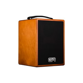 GR GUITAR Amplificador Combo Acústico WD Acoustic Madera 5" para Guitarra