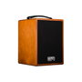GR GUITAR Amplificador Combo Acústica Wd5 80W