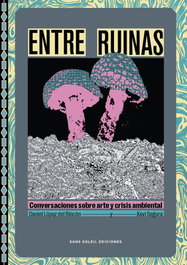 Entre Ruinas, Daniel López del Rincón - SANS SOLEIL EDICIONES