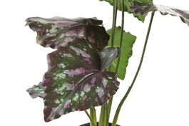 DKD Home Decor Planta Verde Rosa 20 x 39 x 20 cm (6 Unidades)