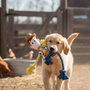 Toy Story Woody Juguete para Perro de Cuerda Multicolor 13 x 26 x 8 cm