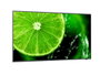 Sharp MultiSync E328-2 32 pulg. Full HD IPS Black