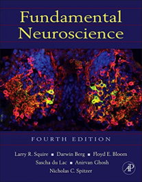 Elsevier UK Fundamental Neuroscience 4ª Ed. [Hardcover]