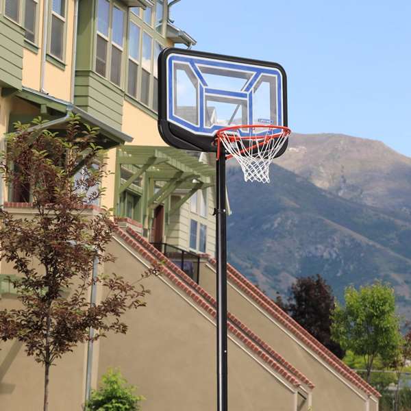 Lifetime Canasta Baloncesto Portátil Policarbonato Ajustable Altura 230-305 cm