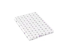 Clairefontaine Papel Glossy DIN A3 300 g, 125 hojas
