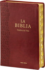 Verbo Divino, La Biblia (Palabra de Vida) - Letra Extragrande