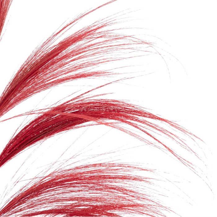 Ixia Rama Roja de Fibra Natural Decorativa 60 x 1 x 230 cm (Pack de 2)