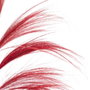 Ixia Rama Roja de Fibra Natural Decorativa 60 x 1 x 230 cm (Pack de 2)