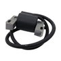 Pastormatic Batería 12V 12Ah para Pastor Eléctrico
