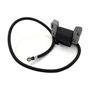Pastormatic Batería 12V 12Ah para Pastor Eléctrico