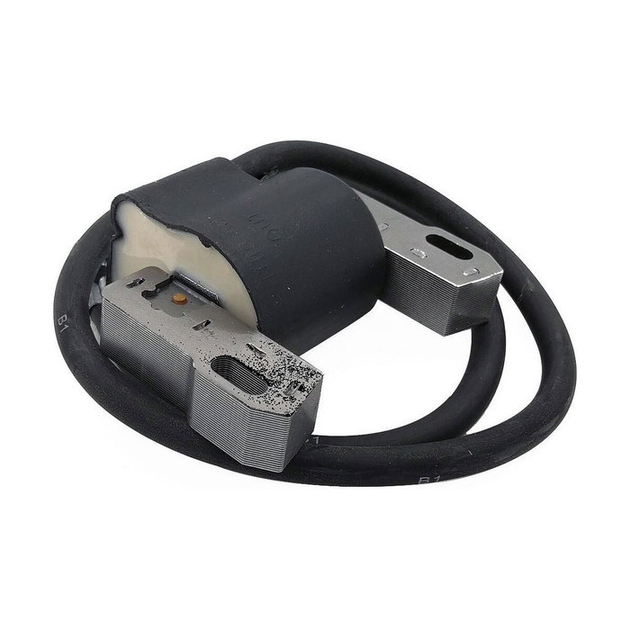 Pastormatic Batería 12V 12Ah para Pastor Eléctrico