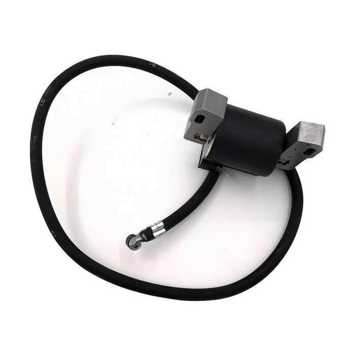 Pastormatic Batería 12V 12Ah para Pastor Eléctrico